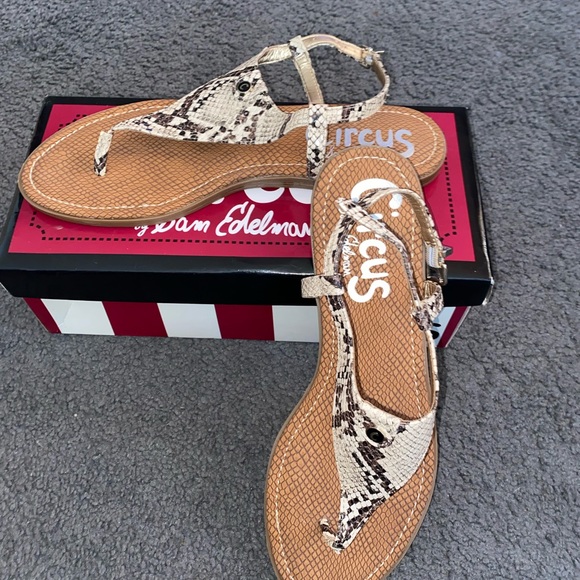 👡🆕Womens Sam Edelman sandals🆕👡 - Picture 7 of 8